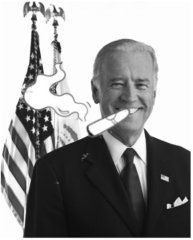 Portrait officiel de Biden. Montage L'Insurgé